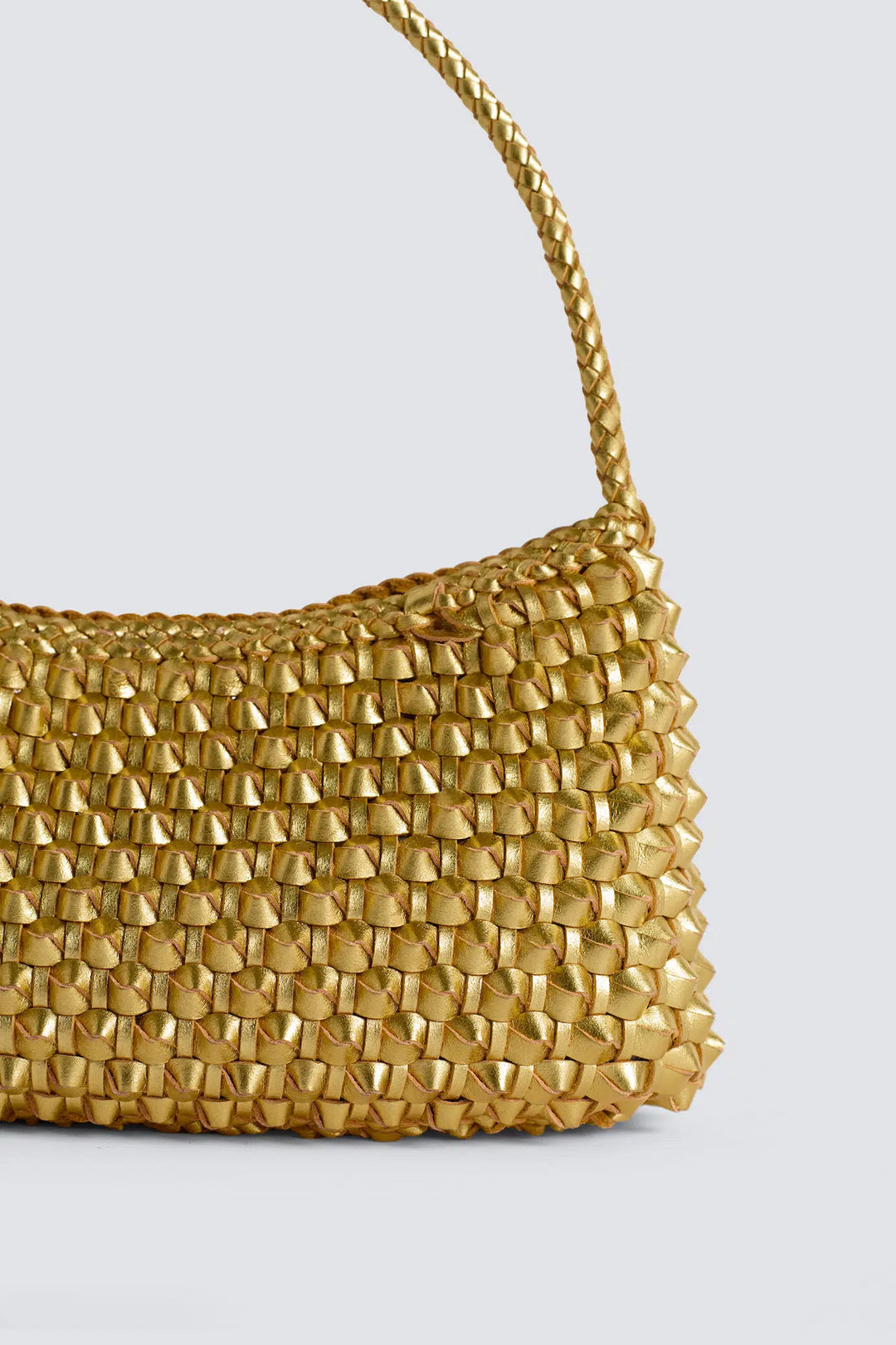 Dragon Diffusion - Basil Cactus Gold Foil - Woven Leather Bag Handmade
