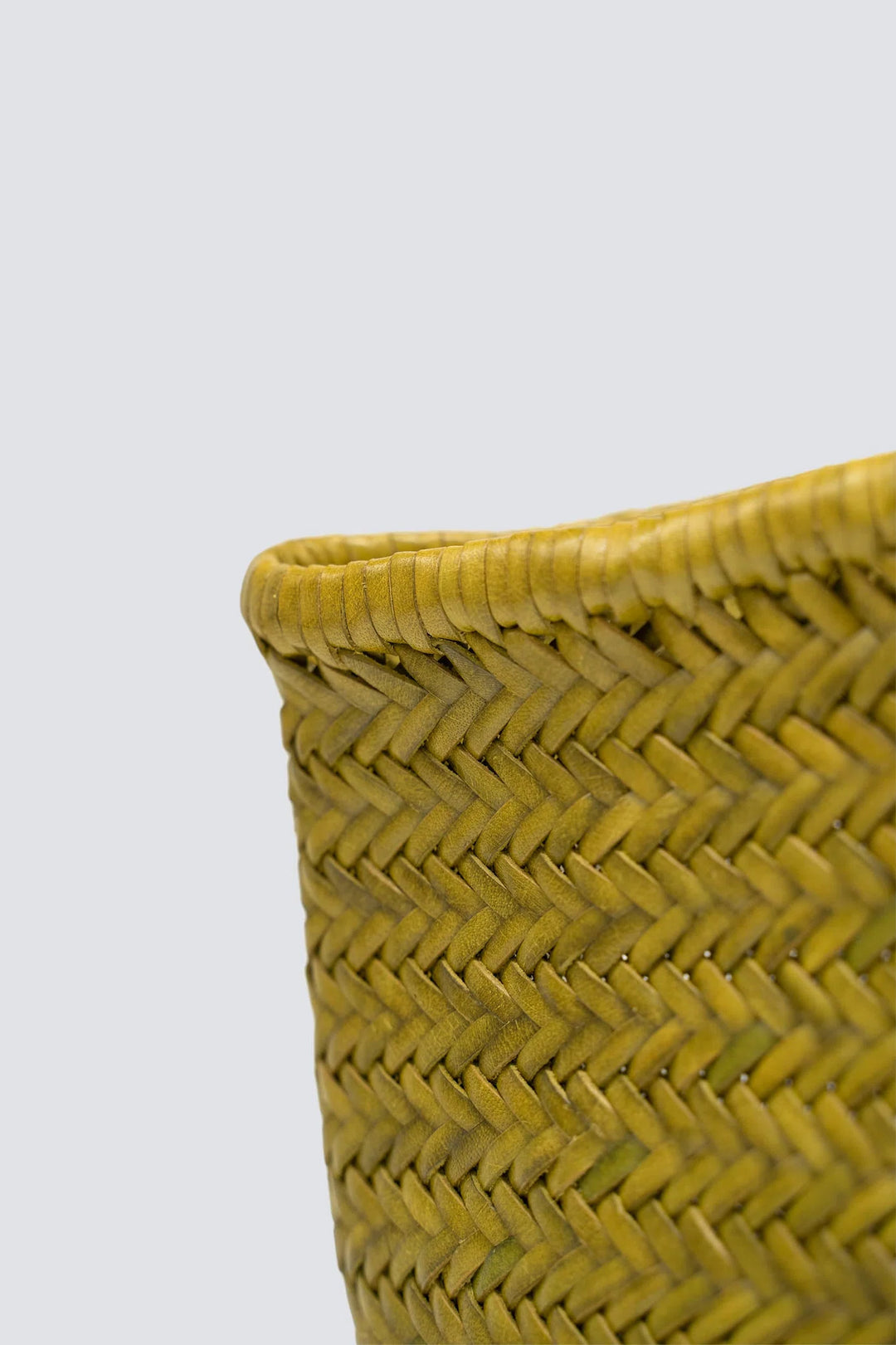 Dragon Diffusion woven leather bag handmade - Nantucket Big Bamboo Green