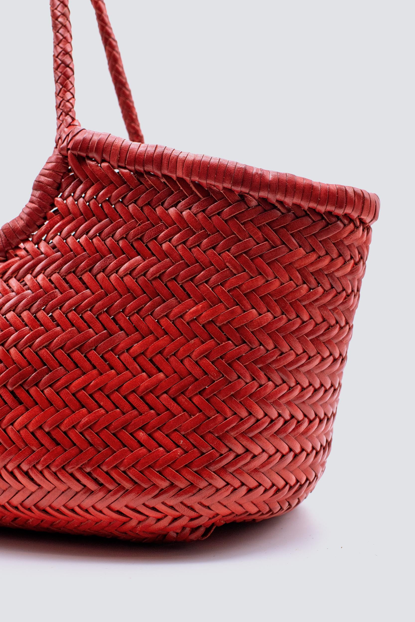 Dragon Diffusion - Nantucket Big Red